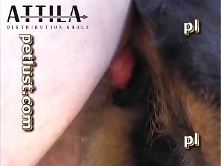 Pc113 The Rottie Likes It Rough