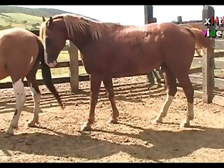 The Best Of The Best Scene 03