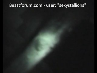 Stallion Penetration Bf Sexystallions