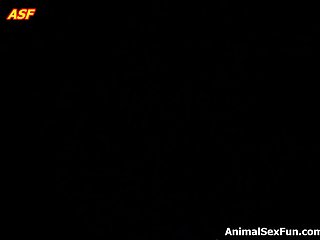 Anime Zoophilie