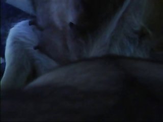 Denise Frazier Fucks Dog Porn