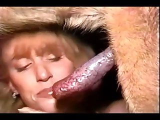 Dog Porn Amature