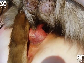 Women Fucked By A Dog Xxx