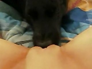 Girl Loves Her Dog Xxx