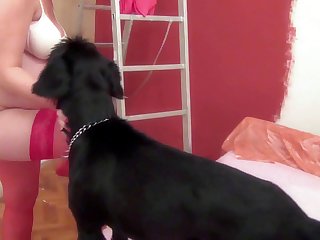 Long Dog Xxx Tube