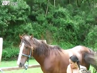 Animal Sex By Woman
