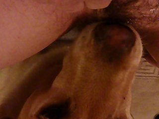 Homens Transando Com Animais