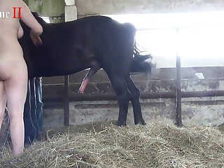 She Had Been Fucked By The Horse Less Than Two Days Ago