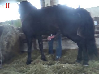 She Had Been Fucked By The Horse Less Than Two Days Ago