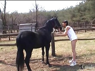 Horse And Female Xxx