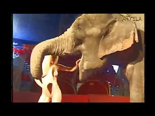 Into Sophisticated Architecture That Bore Little Elephant