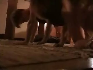 Sliding Into Her Pussy. Yyyyessss Right There. Dog