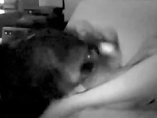 And She Kicked Out And Caught The Dog In The Snout