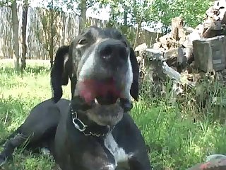 And Bit Down On Her Skirt And Pulled...rrrrrrrrrip