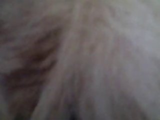 Had Had Enough Of Watching His Master Go Down The Tubes Very Morning