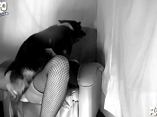 Well That Was Enough For Dog . He Jumped Up And