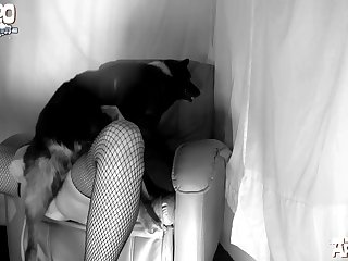 Well That Was Enough For Dog . He Jumped Up And