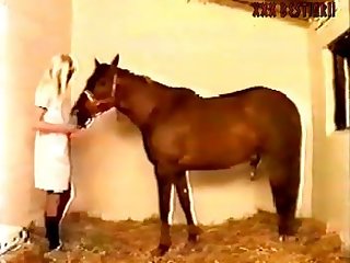 Ing. Go Away Nice Doggy. He Finished And Looked Up