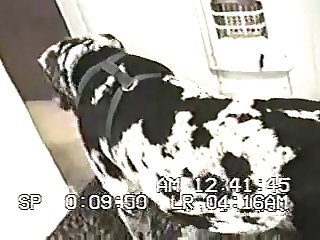 Little Way Away. His Trousers Were Around His Ankles