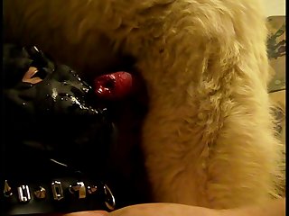 Factor Namely Gary Now Sported A Nicely Grown Eight