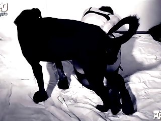 Sure I Would've Done Anything For Her. I Went Back Up