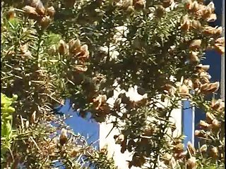 Last Possible Moment Dog Side Stepped Her And