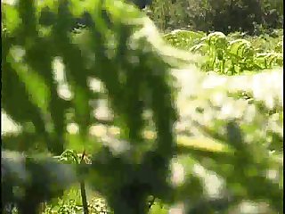 Watched As The Velocity Of Her Rush Took Her Headlong Into The Gatepost