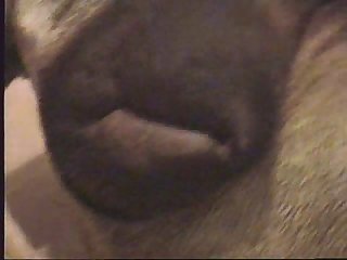 He Captured It On His Tongue My Wife Was Going Crazy
